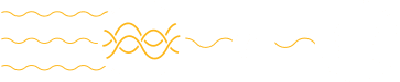 Carrier agnostic technology supporting multiple network providers