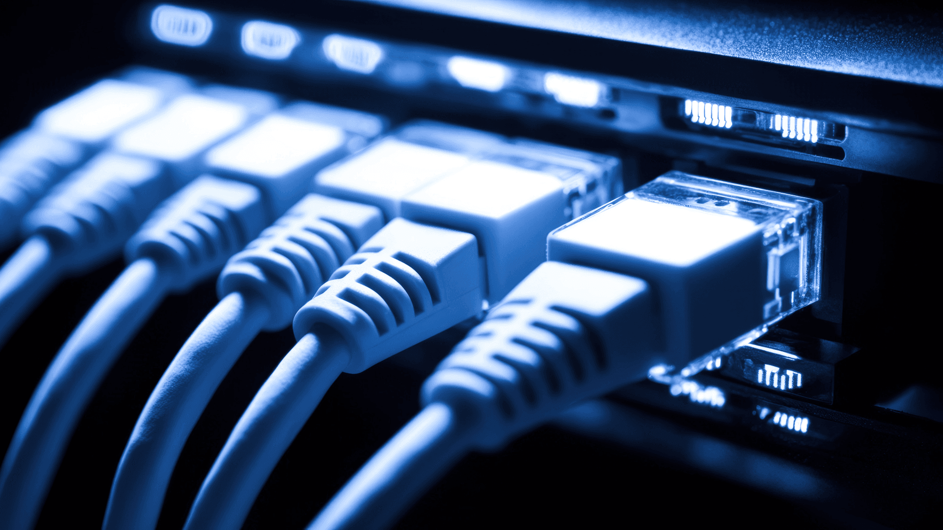 Network cables plugged into networking equipment