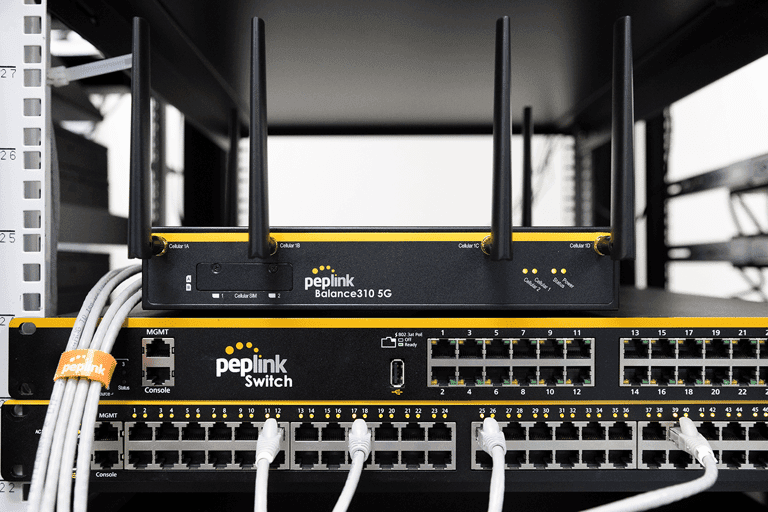 Peplink Balance 310 5G router, close-up detail
