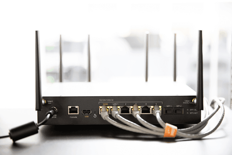 Peplink Balance 310 5G router, rear view