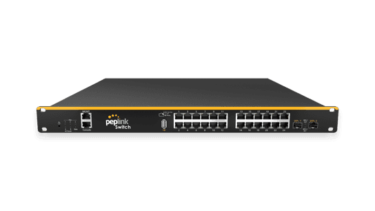 SD Switch 24-Port Rugged