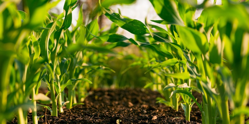 Smart farming equipment with Paygasus Connect IoT solution