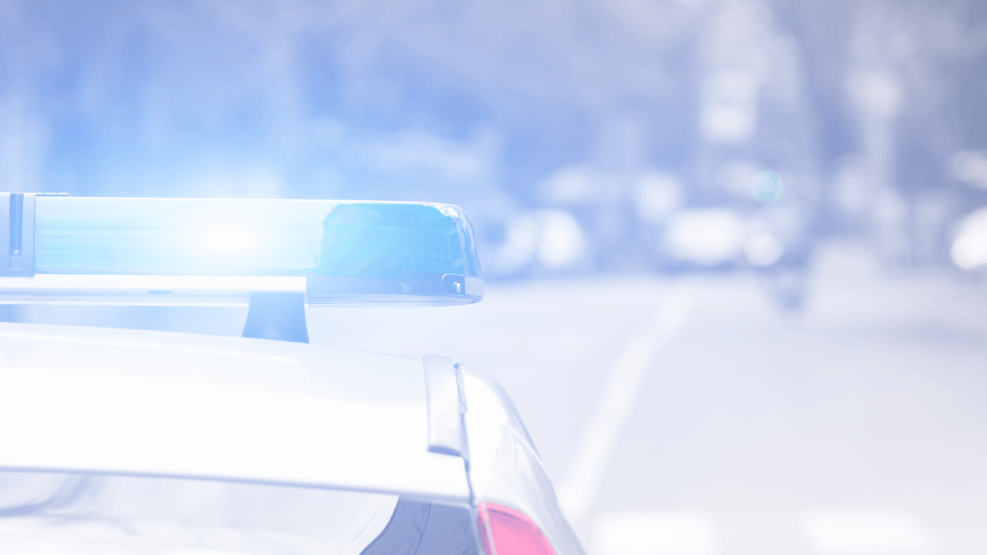 Mobile specialty contractor teams collaborating in construction field office using portable Paygasus Connect wireless network and jobsite digital tools