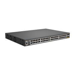 Peplink SD Switch 48-Port 2.5G PoE+ (4/9)